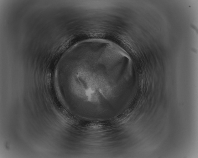 X0000091710263200709210947