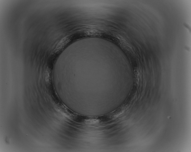 X0000091710266200709210947