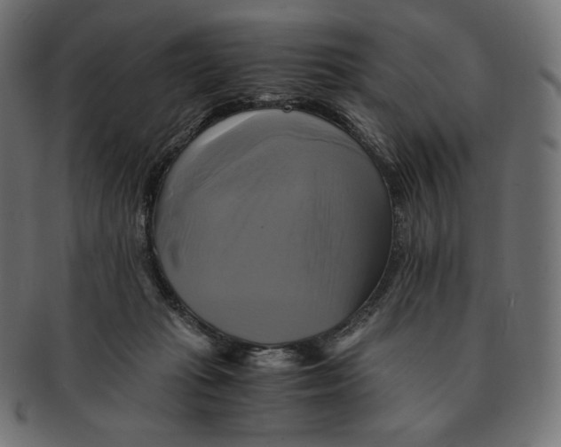 X0000091710269200709210947