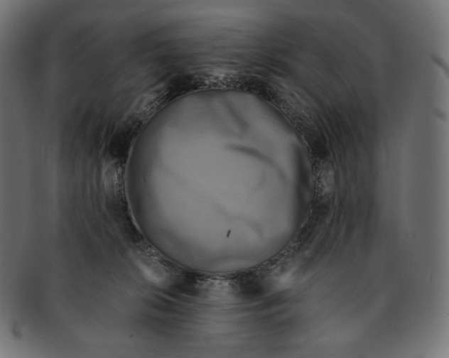 X0000091710276200709210947