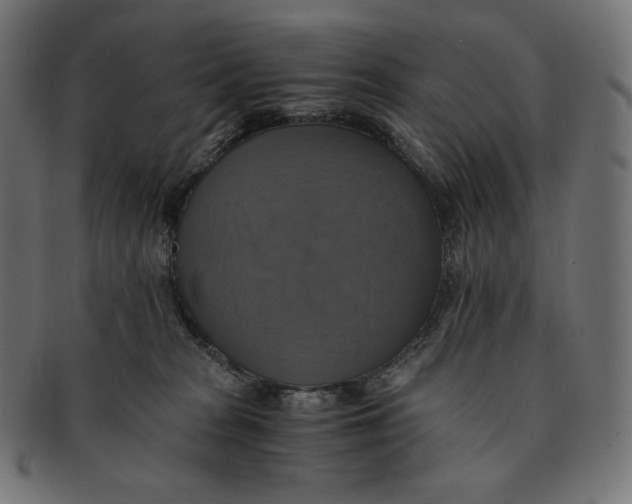 X0000091710277200709210947