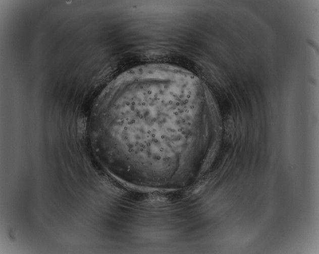 X0000091710278200709210947