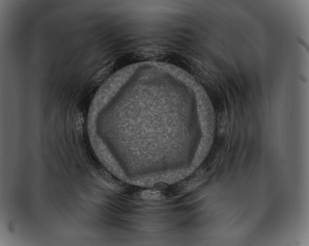 X0000091710279200709210947