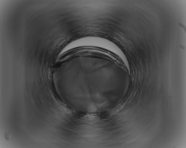 X0000091710280200709210947