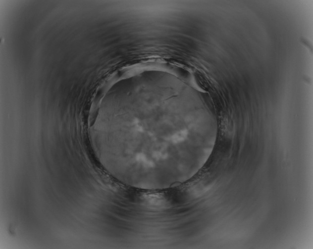 X0000091710283200709210947