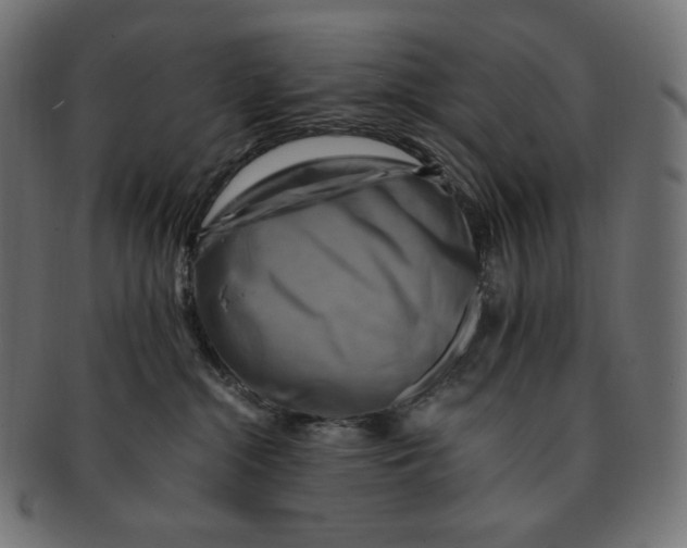 X0000091710284200709210947