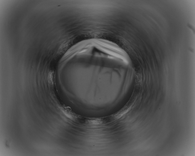 X0000091710286200709210947