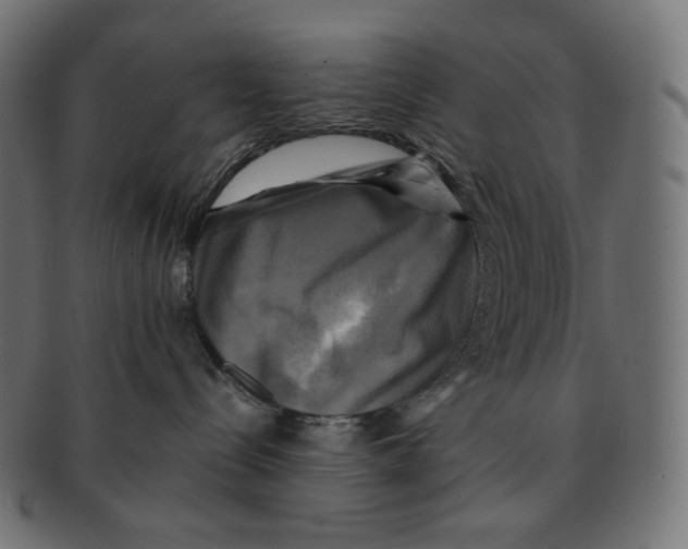 X0000091710288200709210947