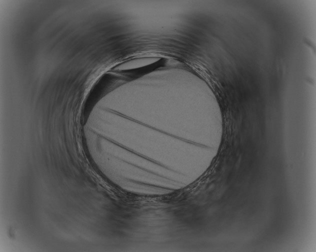 X0000091710289200709210947