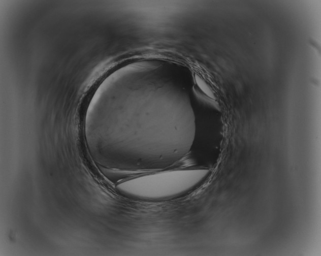 X0000091710295200709210947