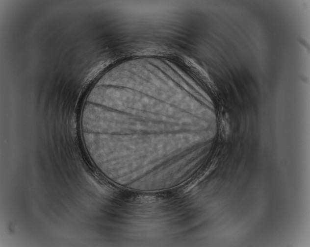 X0000091710298200709210947