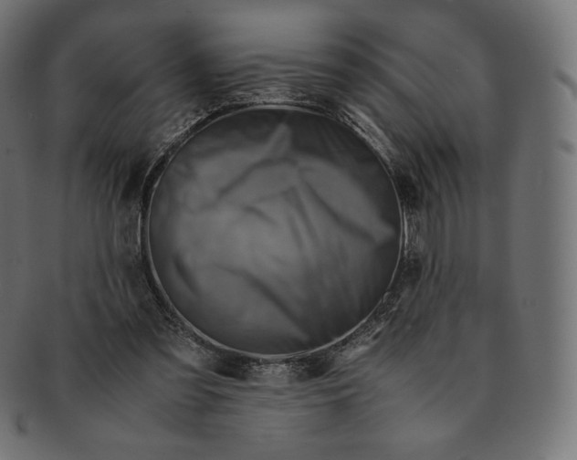 X0000091710301200709210947