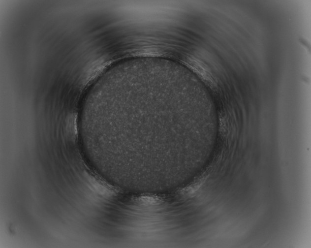 X0000091710302200709210947