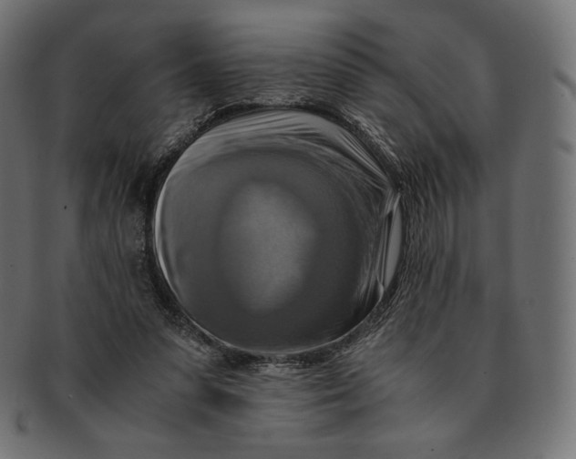 X0000091710303200709210947