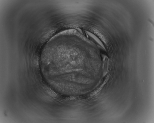 X0000091710305200709210947