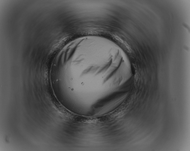 X0000091710306200709210947