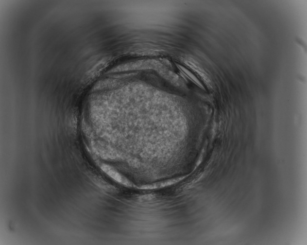 X0000091710309200709210947