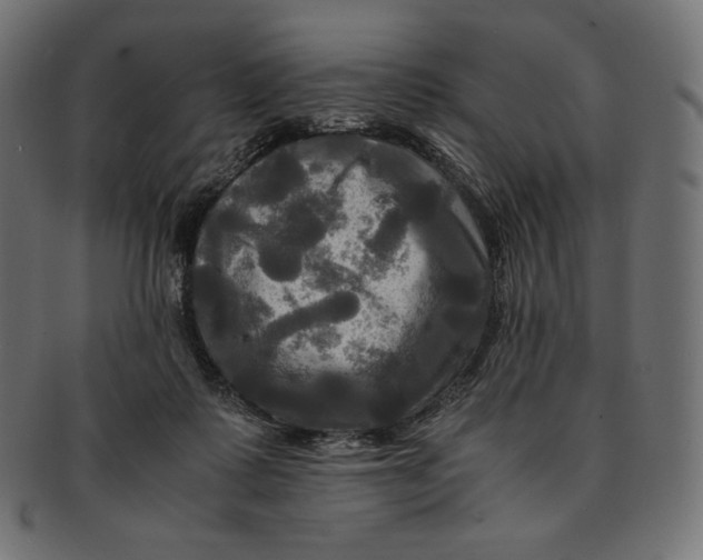 X0000091710315200709210946