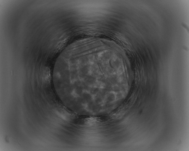 X0000091710320200709210946