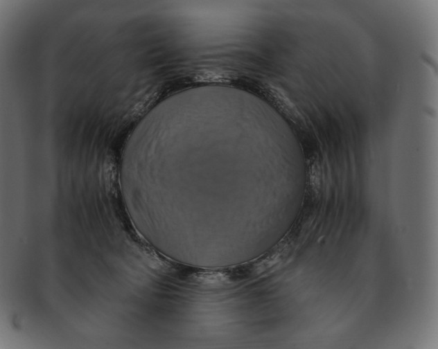 X0000091710322200709210946