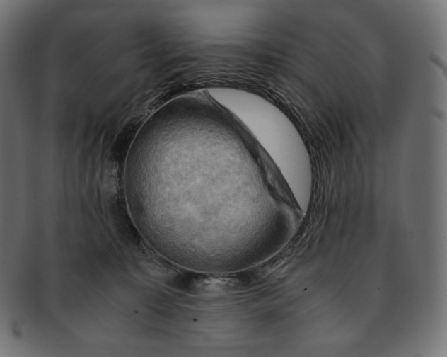 X0000091710323200709210946