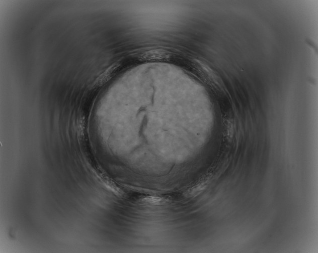 X0000091710326200709210946