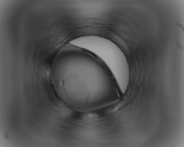 X0000091710329200709210946