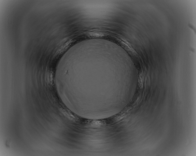 X0000091710330200709210946