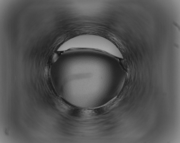 X0000091710333200709210946