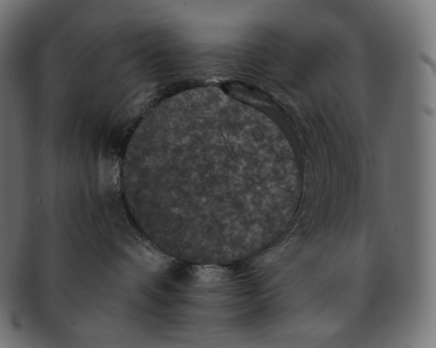 X0000091710336200709210946