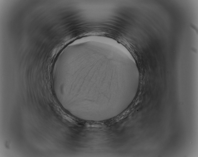 X0000091710337200709210945