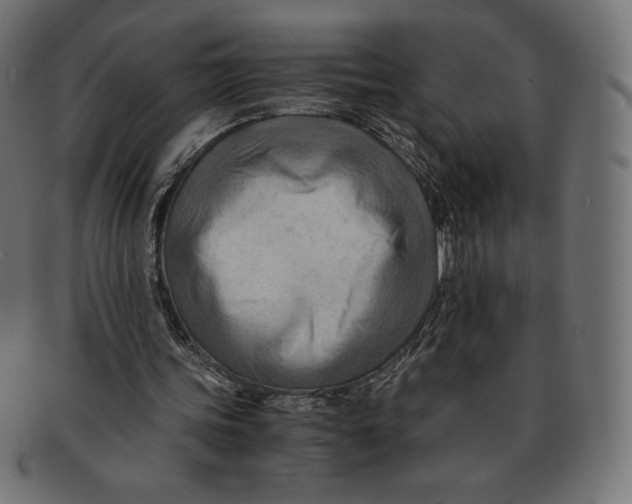 X0000091710339200709210945