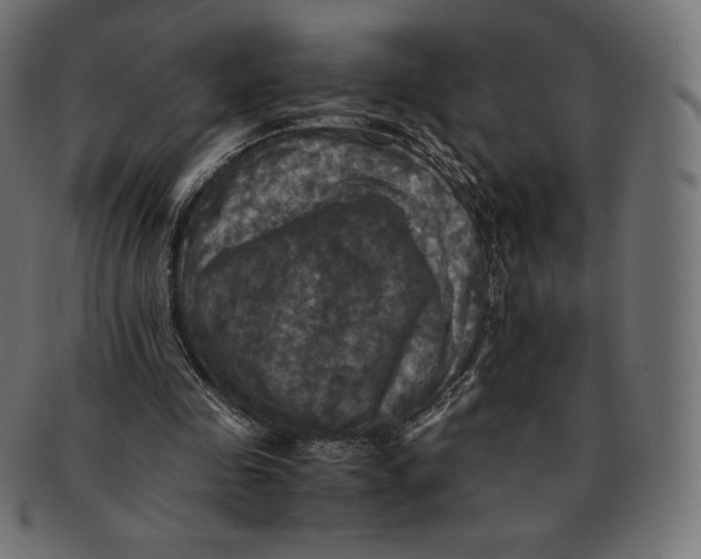 X0000091710341200709210946