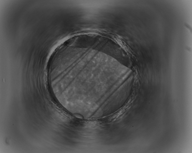 X0000091710342200709210946