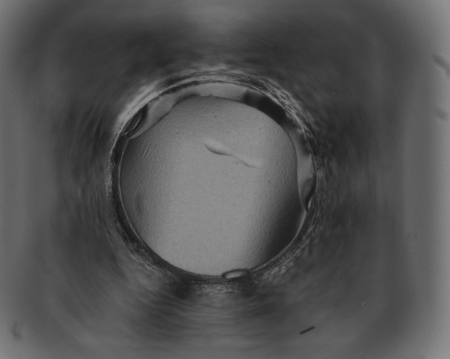 X0000091710344200709210946