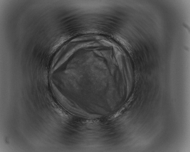 X0000091710345200709210946