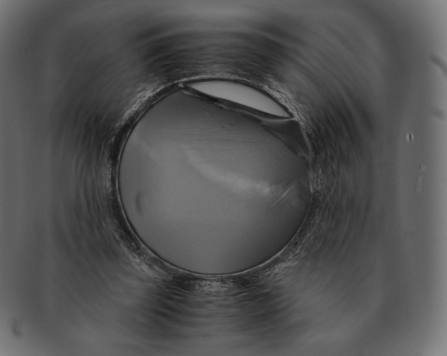 X0000091710347200709210946