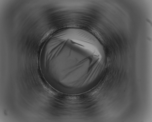 X0000091710349200709210946