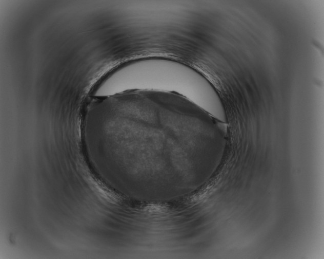 X0000091710350200709210946