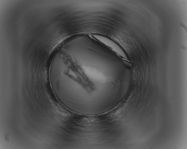 X0000091710351200709210946