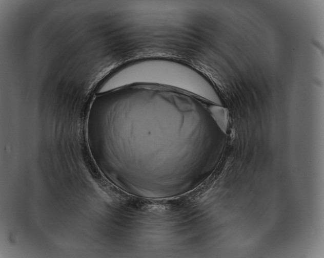 X0000091710352200709210946