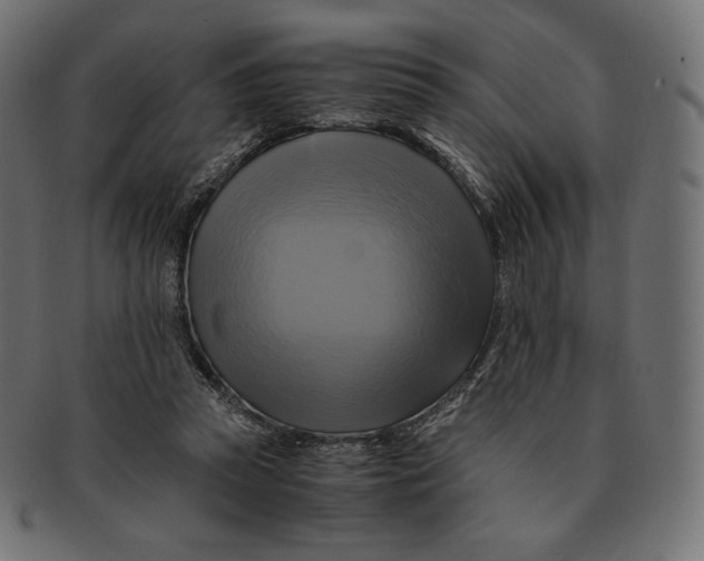 X0000091710353200709210946