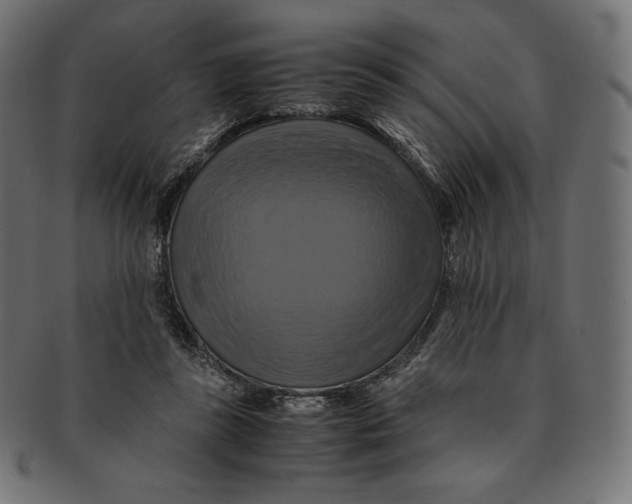 X0000091710355200709210946