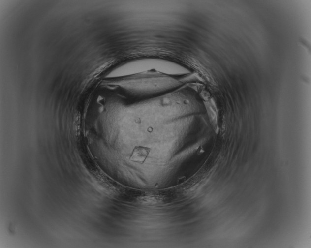 X0000091710356200709210946