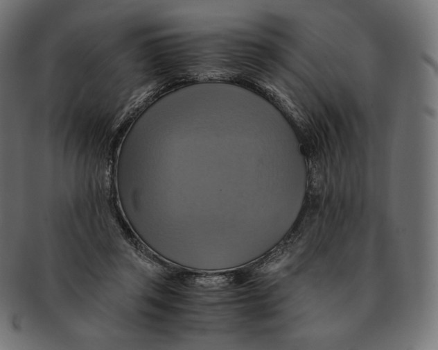 X0000091710357200709210946