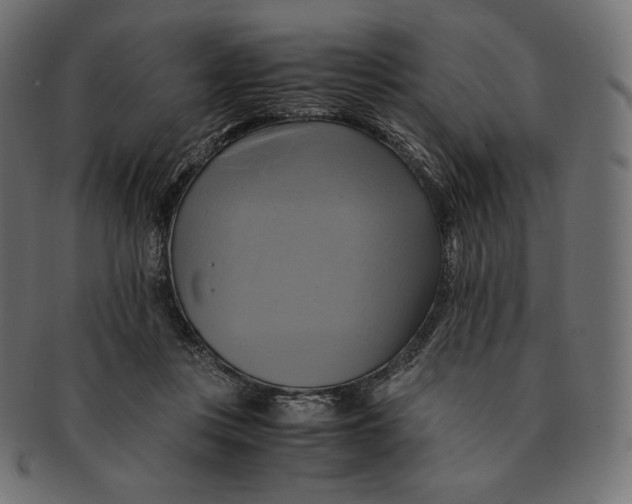 X0000091710359200709210946