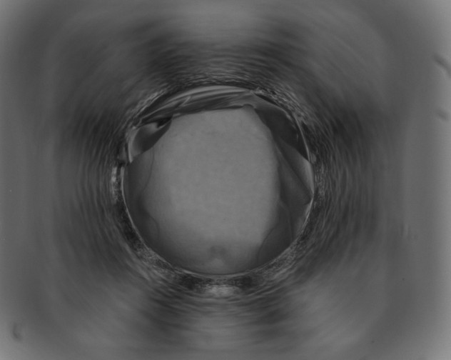 X0000091710360200709210946