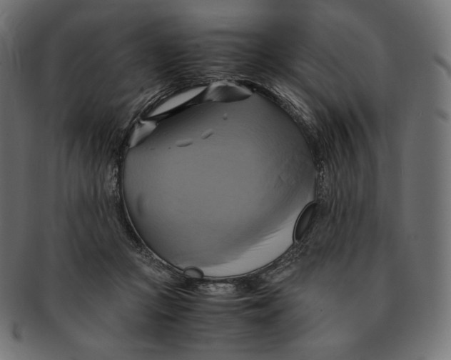 X0000091710361200709210946