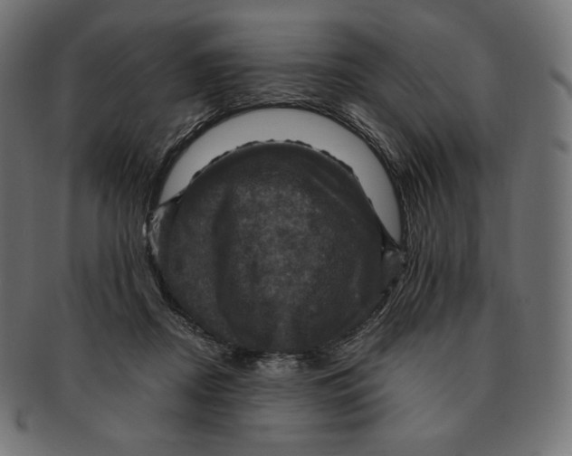 X0000091710362200709210946