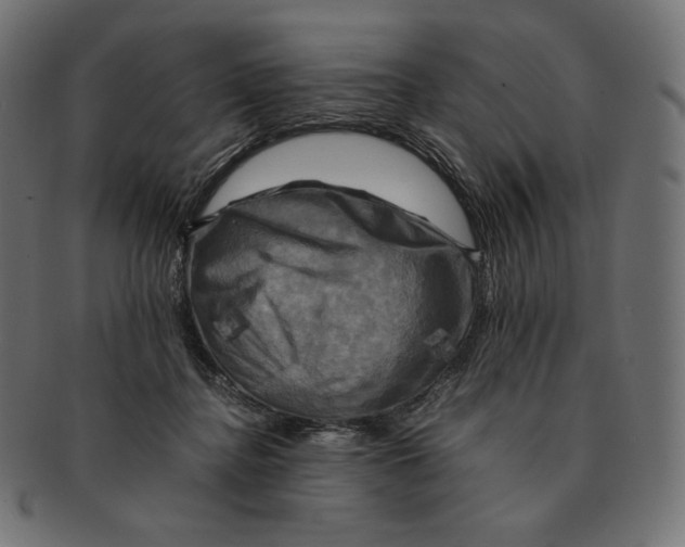 X0000091710364200709210946